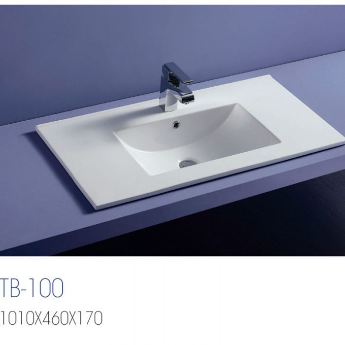 TB-100 1010X460X170